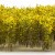 Tall Shrubbery - Yellow/Green