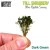 Tall Shrubbery - Dark Green