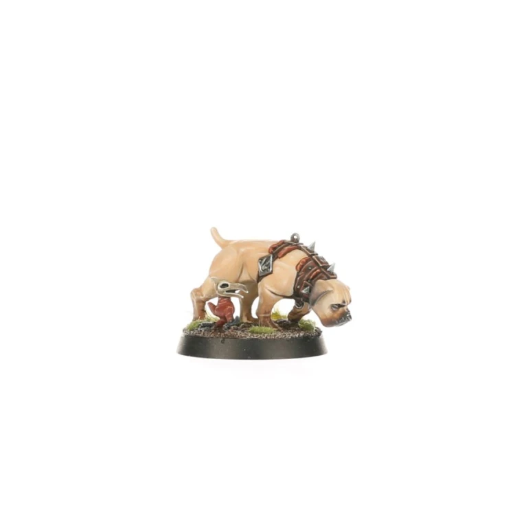 Cities Of Sigmar: Ven Denst's Hounds