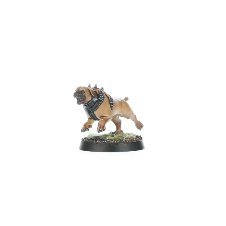 Cities Of Sigmar: Ven Denst's Hounds