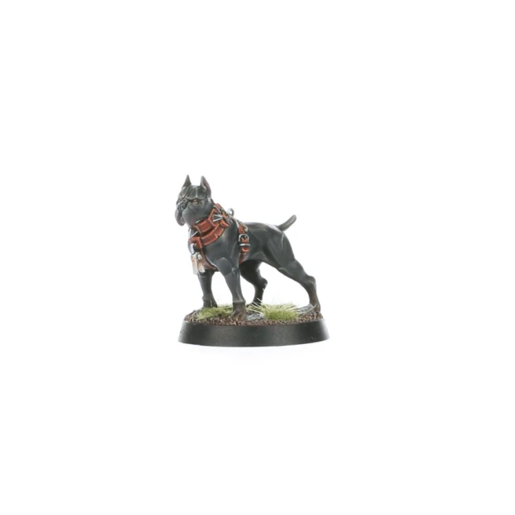 Cities Of Sigmar: Ven Denst's Hounds