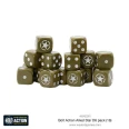 Bolt Action US Army 6D Pack 16 kości