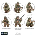 US Rangers WWII Elite Light Infantry