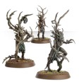 99120204012_SylvanethDryads02.jpg