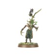 01-01 dryad.jpg